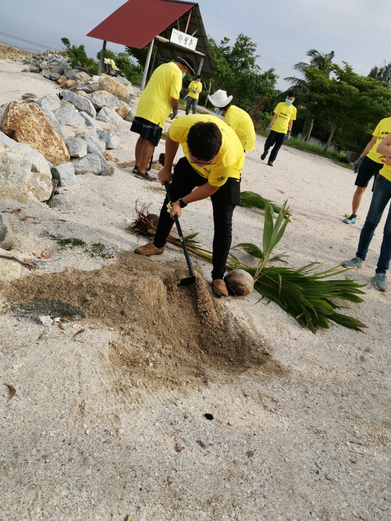 马来西亚国际生态农业旅游研发协会在适耕庄的海边进行种树活动了，为绿化环境贡献一份力。