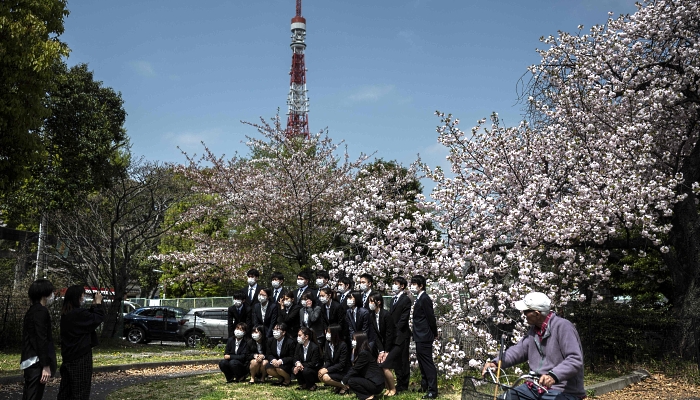 Company employees pose for photographs with cherry blossoms as a backdrop during the April 1 traditional first day of work for freshly-hired graduates, in Tokyo. AFP
