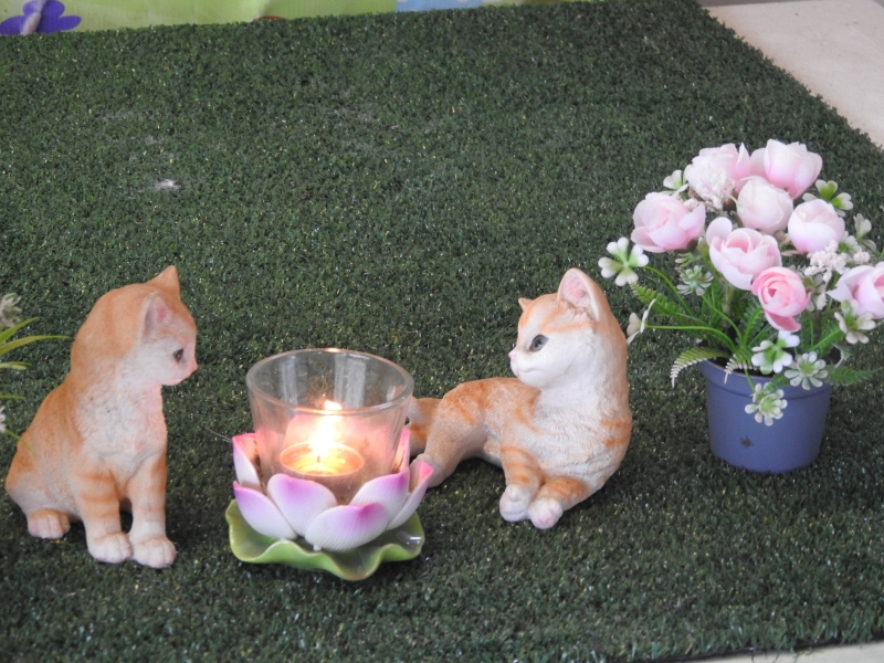 点燃白蜡烛追思宠物，不含任何宗教信仰意义。