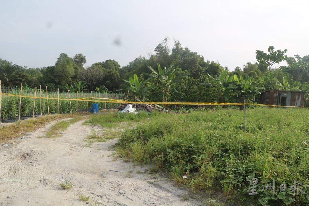 东兴港一菜园内发生命案，一名缅甸籍男子身亡。