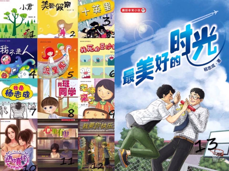 截至2021年1月，杨志成一共出版了13本小说。