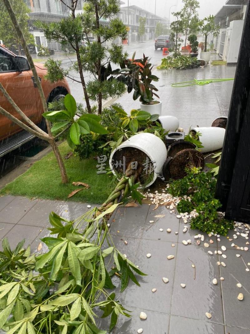 住家前的盆栽也被大风吹倒。
