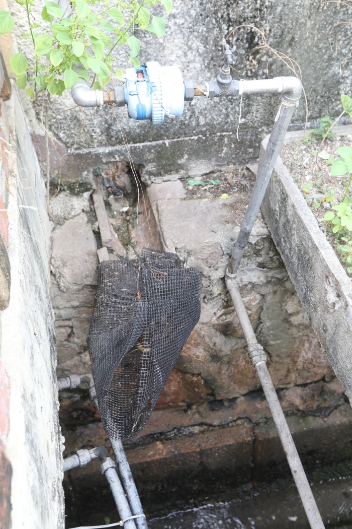 涉及的单位排水系统装有滤网，相信是为了过滤清洗鸡只所流出的污水。