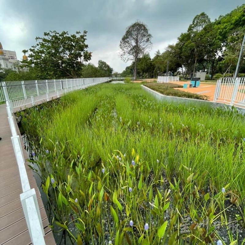 雪兰莪海上门户项目大力净化巴生河水质，在巴生河畔石头公园增设引入经净化水质的湿地公园培植水生植物，寓教育和观赏价值。
