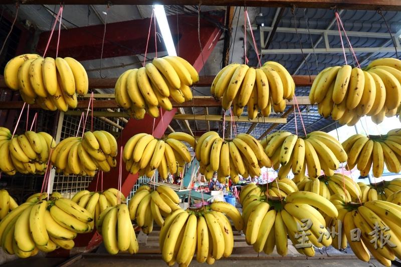 市场上本地香蕉货源充足，也没有出现涨价的情况，价钱为6令吉左右。

