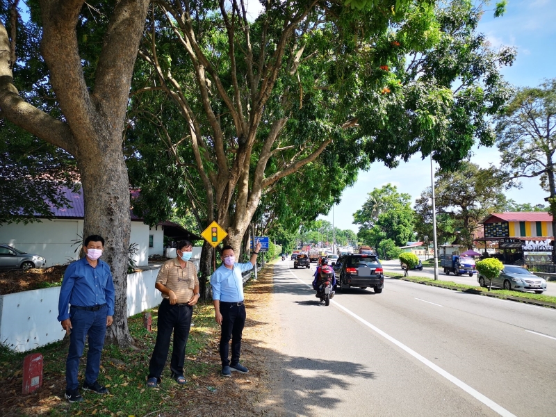 蔡求伟（右）促请市政厅尽快去修剪AMJ大道晋巷通往丹绒米雅交通灯前路旁大树的树杆，保障公众安全。左起林千宏、戴佛淞。