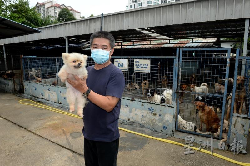 林春山说，流浪动物之家目前正进行兴建收容中心的筹募工作，他呼吁民众慷慨解囊，捐助该收容中心。