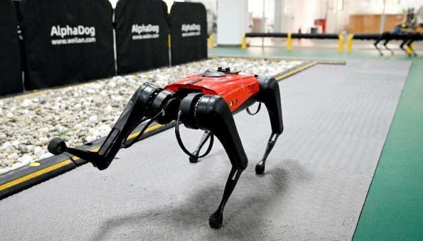 The high-tech hound uses sensors and AI to 'hear' and 'see' its environment – and can even be taken for walks.