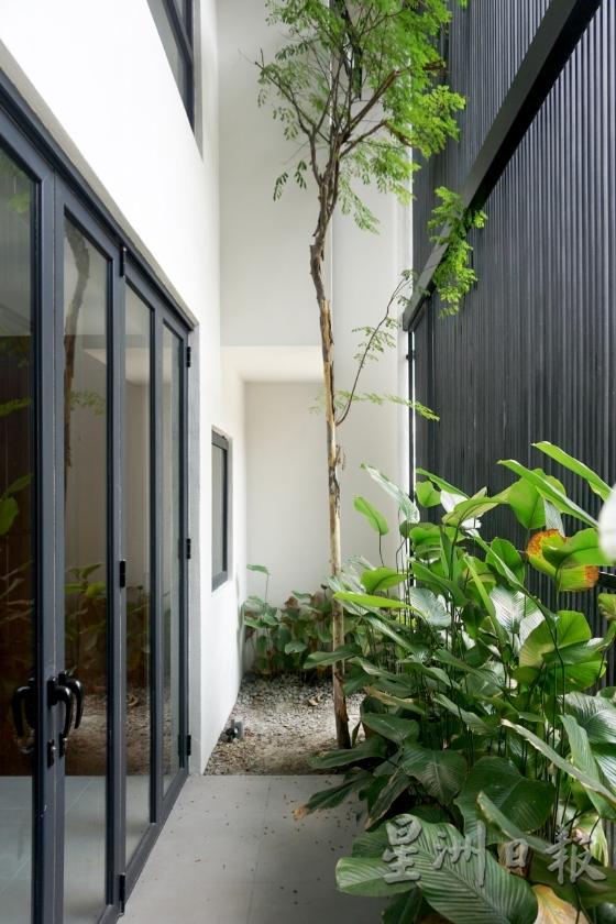 室内小庭院种植树木，与大自然有所结合，为房屋带来清新明亮的气息。

