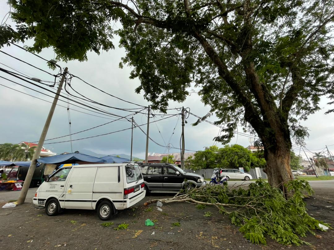 马来西亚多雨的天气经常会引起强风吹袭，一些大树枝桠会被吹断并压在泊在附近的车子，造成车主的损失。