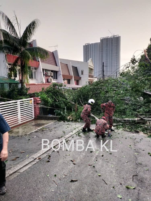 民宅前的大树横倒在路中央，消拯人员接到投报后到现场移走大树并清理现场。