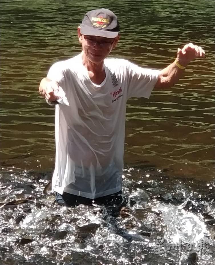 谢美德在登嘉楼州肯逸湖喂食红吉罗鱼。