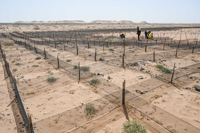 防沙网格采用麦草方格和尼龙方格,以削弱风力的侵蚀,防止沙丘的移动,而且可截留降雨,提高沙层的含水量。（新华社）