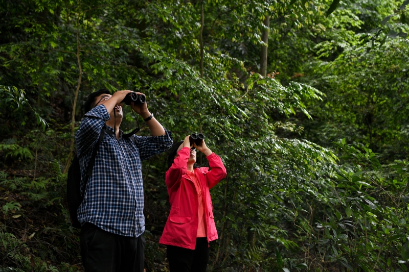 在乐山市峨眉山，科研人员谷海燕（右）与谢孔平在观察野生峨眉槽舌兰。