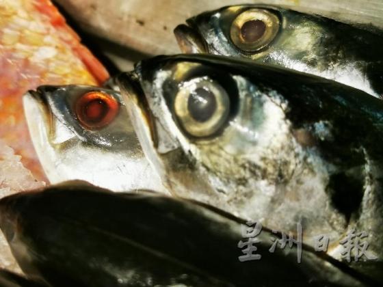 鱼眼发红和外皮剥离鱼身的鱼多是不新鲜。（李秀华摄）