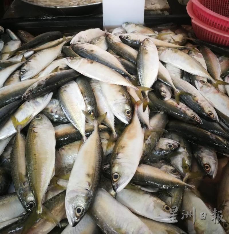 近月来甘望鱼产量增加，价格也比较便宜。