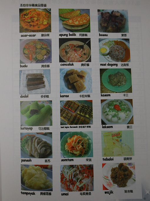 写华文作文时若想写其他种族的美食，可参考语范规范的译名，如：acar-acar酸杂菜、tempoyak腌榴梿酱。