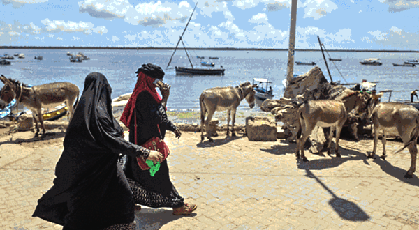 Islanders walk past donkeys tethered on the causeway as their owners wait to get transportation work at the historic island town of Lamu. AFP