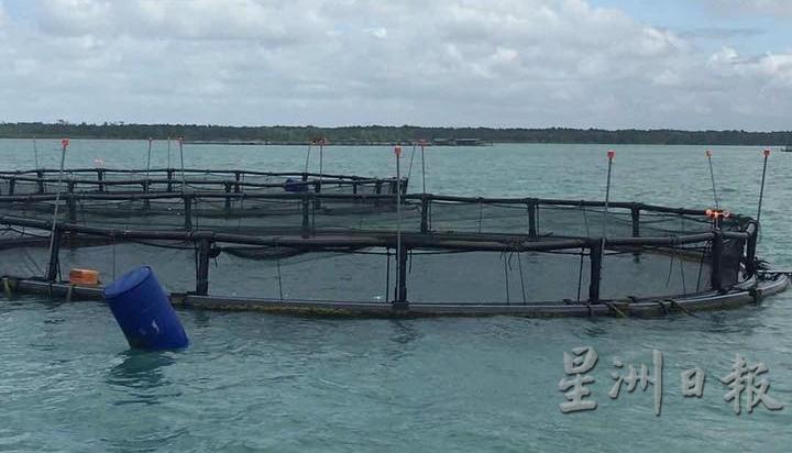 海上养鱼公会有计划在葫芦岛投入HDPE新养鱼技术，因此希望州政府能积极规划槟州海上养殖区。