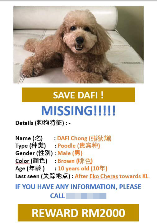 锺先生早前在脸书张贴寻狗启事，希望大家帮助他寻回走失的贵宾犬。