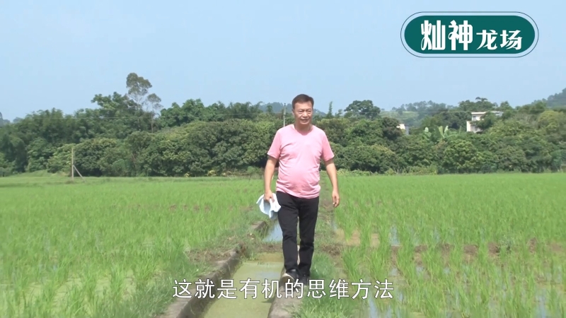 阿灿在广州花都兴建“灿神龙场”开拓有机耕作，实现一生的梦想。