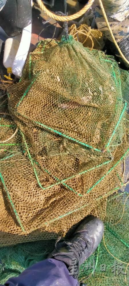 由于荃笼渔网会对海产生态构成威胁，因此政府严禁渔民使用。
