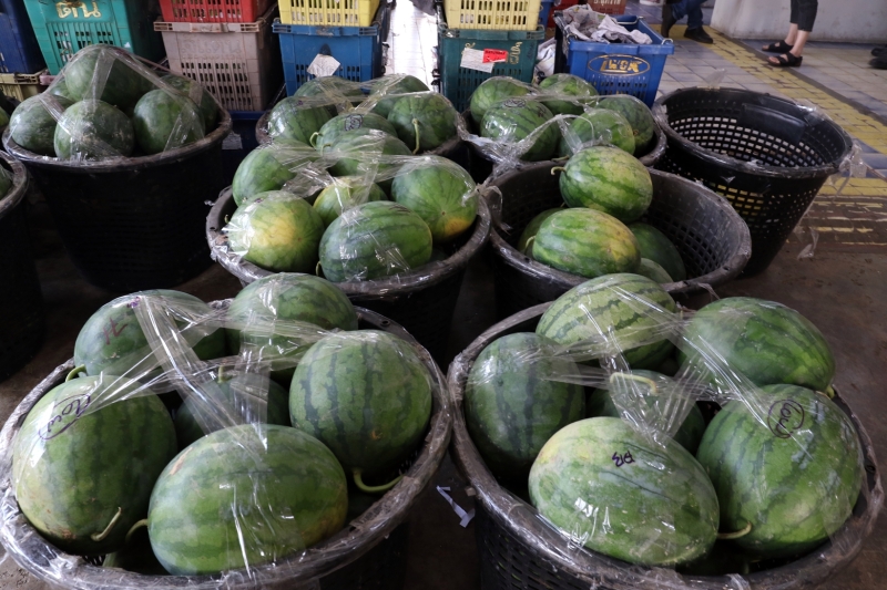 西瓜的批发价格从去年同期的3令吉左右，跌至现在的每公斤2令吉。
