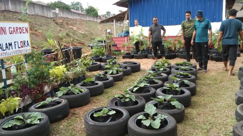 关丹米昔拉丽雅花园的居民的小菜园种植了多种蔬菜。