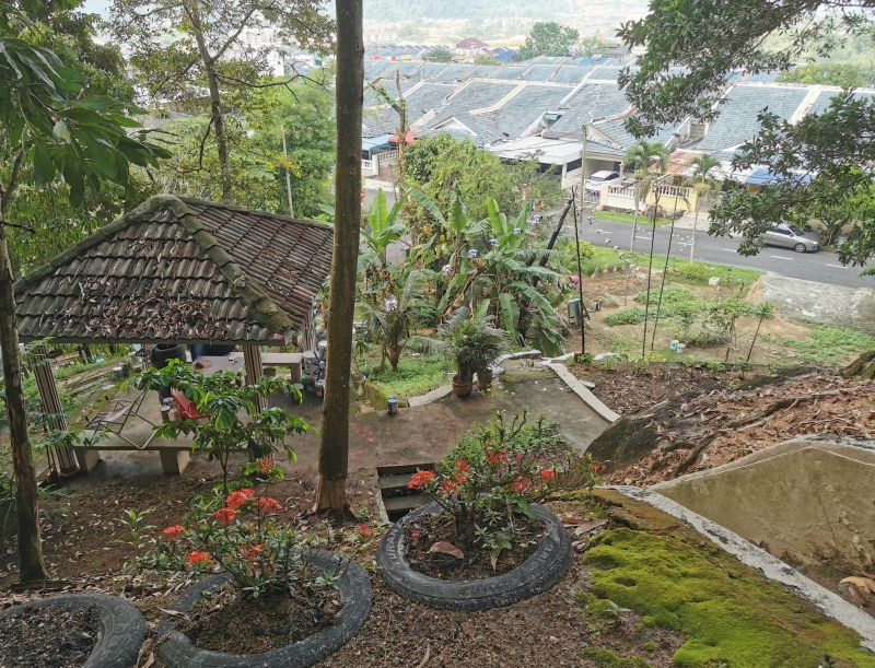 “七鲤香”小公园就像是隐藏在花园住宅区内的世外桃源，成为当地居民的好去处。