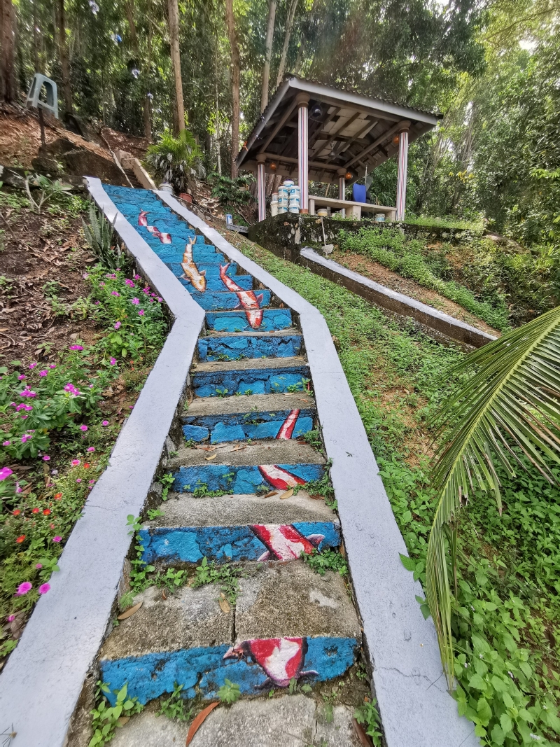 “七鲤香”小公园的阶梯处绘上了“七鲤水中游”壁画。