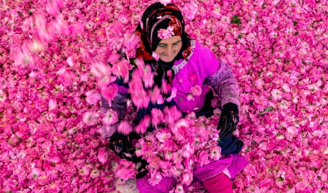 In Morocco's Kelaat Mgouna in the Atlas Mountains, roses are a key industry, and its annual festival attracted thousands of visitors before Covid-19. AFP