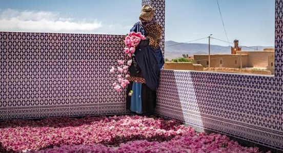 A worker spreads rose petals outside a house in the city of Kelaat Mgouna. AFP