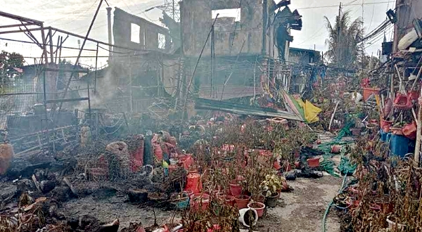 Fire gutted Gan's roadside nursery in Tuaran on April 28.