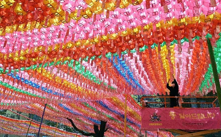 A worker attaches name cards with wishes of Buddhist followers to lotus lanterns at Jogye temple in Seoul ahead of celebrations marking Buddha's birthday. AFP