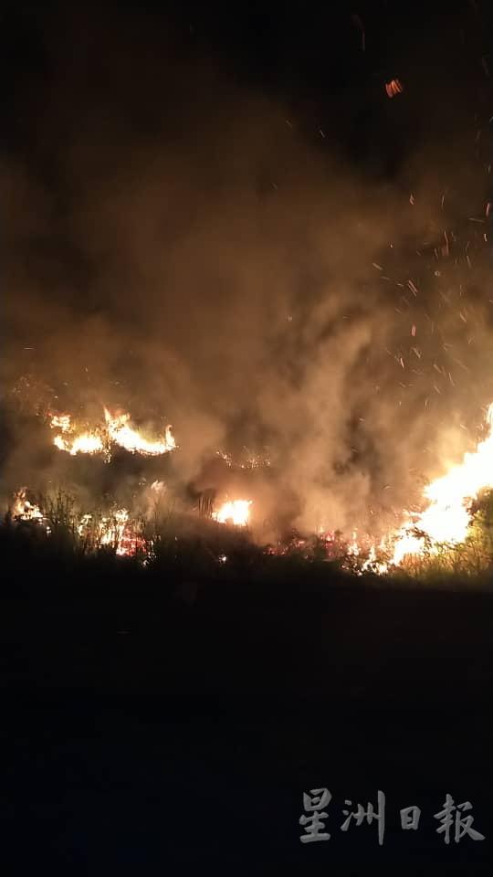 丽华宝岛一处草丛前晚八时许突发起火，居民立即向消拯局求助。