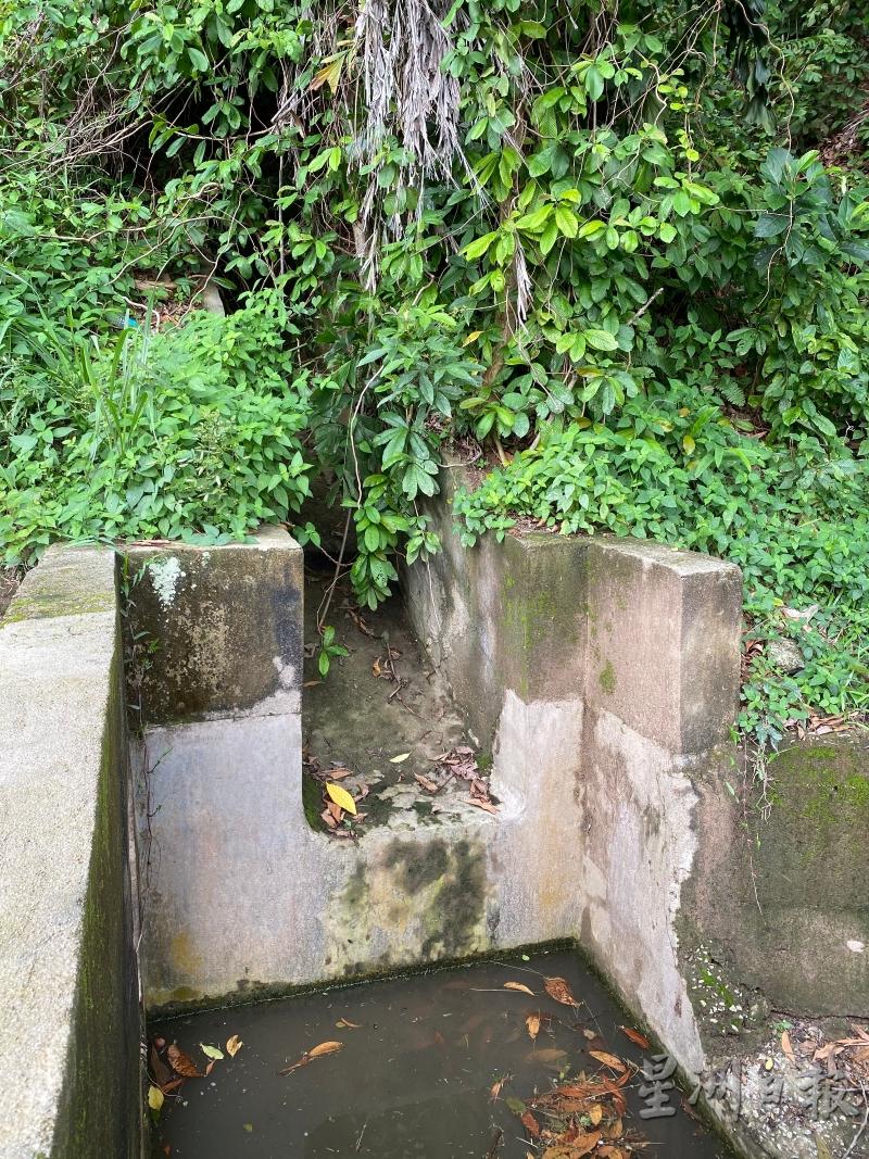 失灵多年未修的排水沟几乎被树木覆盖，失去用途的缓冲槽也因此积水，导致蚊虫滋生。