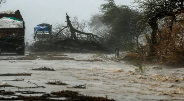 Trucks got stranded near the coastal town of Diu. AFP Trucks got stranded near the coastal town of Diu. AFP