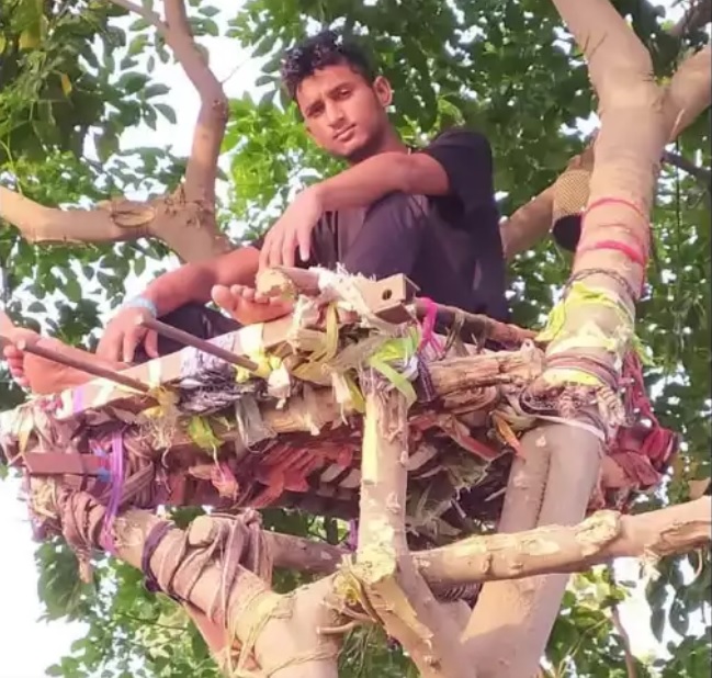 印度泰伦加纳邦一名青年在冠病检测得知结果呈阳性后，决定住在树上自我隔离，以免传染给家人。