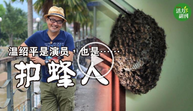 ​【世界蜜蜂日】温绍平是演员，也是护蜂人！