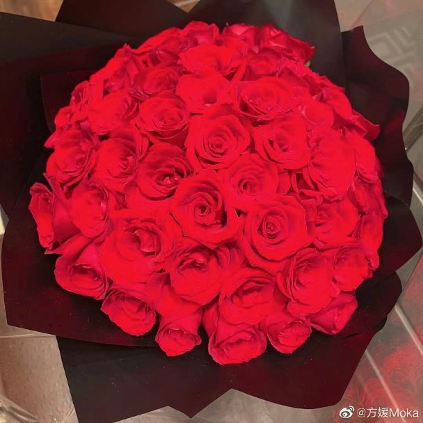 方媛520收获一大束玫瑰花。