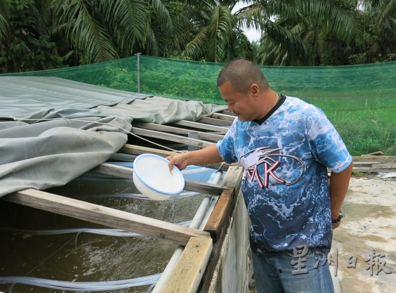 培育虾苗是一门高风险的行业，经常检查水质是其中重要的功夫。