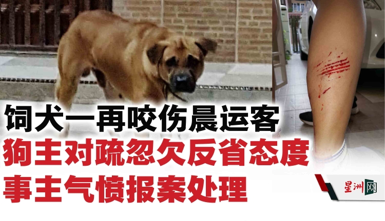 饲犬一而再咬伤晨运客狗主对疏忽欠反省态度令事主气愤报案处理 地方 花城 花城最热点 星洲网sin Chew Daily