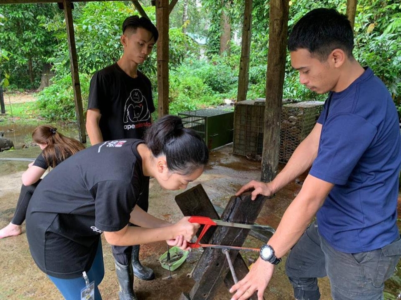 陈愉恩参与志工的活动项目，包括为马来熊制作训练玩具。
