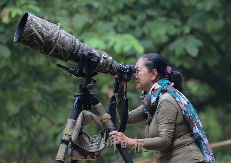 董丽容出动600毫米的“大炮”长镜寻访鸟踪。