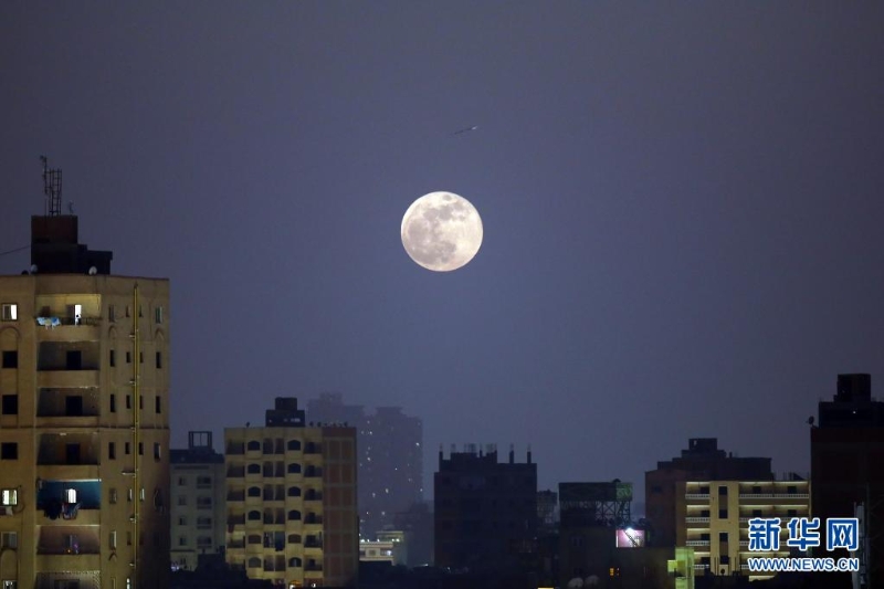 在埃及开罗夜空下拍摄的“超级月亮”。（图：新华社）