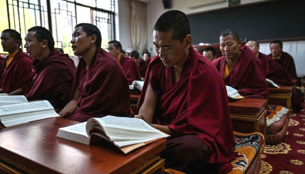 Monks, nuns and novices rehearse religious texts, show off their English and demonstrate traditional Buddhist debates. AFP