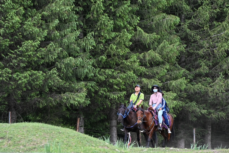 骑马穿越游平原享受绿色，崇尚自然、回归自然。（图：新华社）