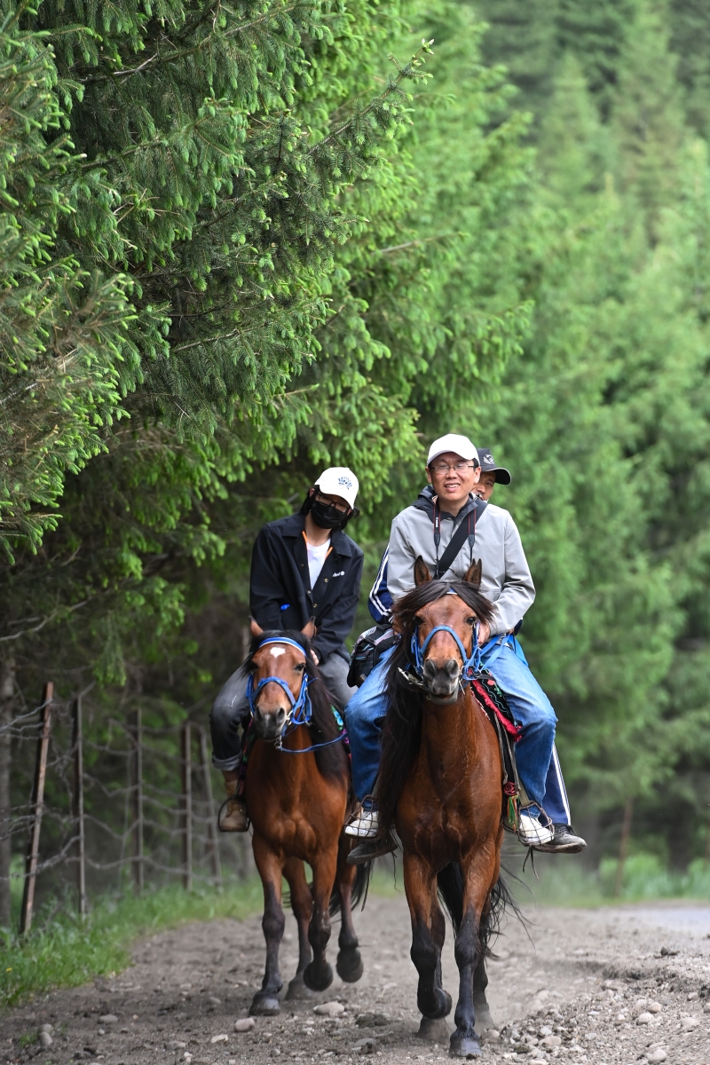 每年5月至10月旅游季有200匹马从事旅游服务，满足游客骑马的体验。（图：新华社）

