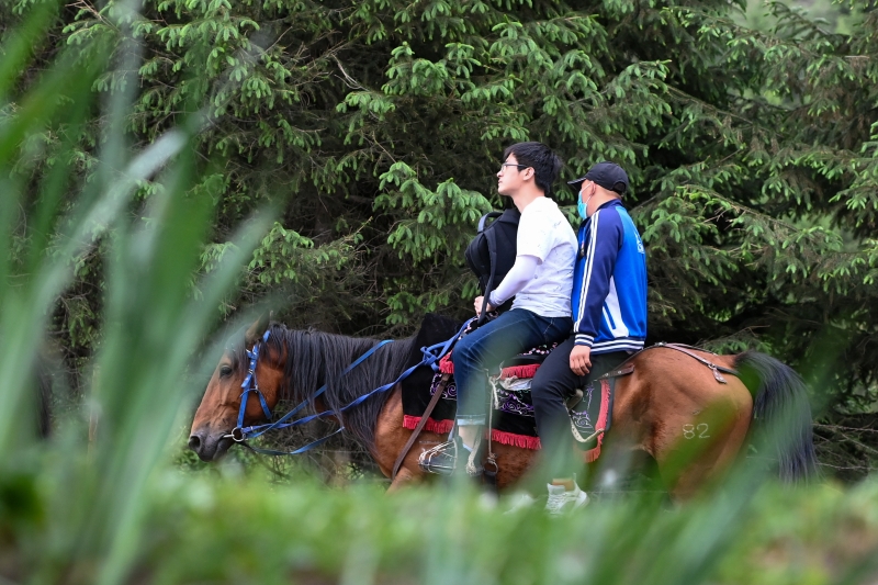 马队合作社的牧民在后协助不会骑马的游客在那拉提旅游风景区骑马游玩。（图：新华社）

