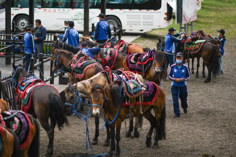 在那拉提旅遊風景區，馬隊合作社的牧民整理馬匹準備迎接遊客到來。（圖：新華社）

